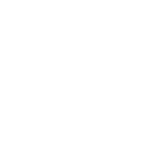 ICON 4K SUPPORT WHITE