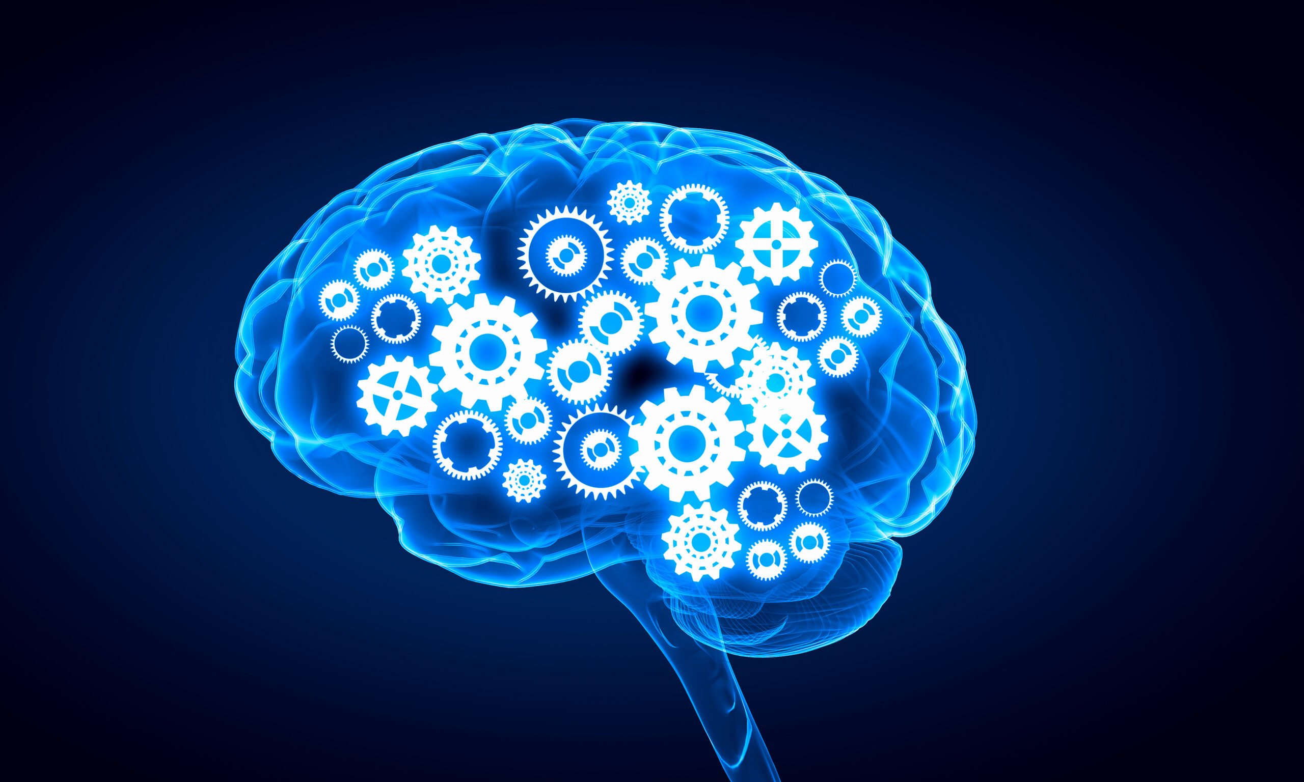 Innovative solutions – where did they come from? 1 Innovative Solutions where did they come from Collaboration blog by Vivitek 3 scaled
