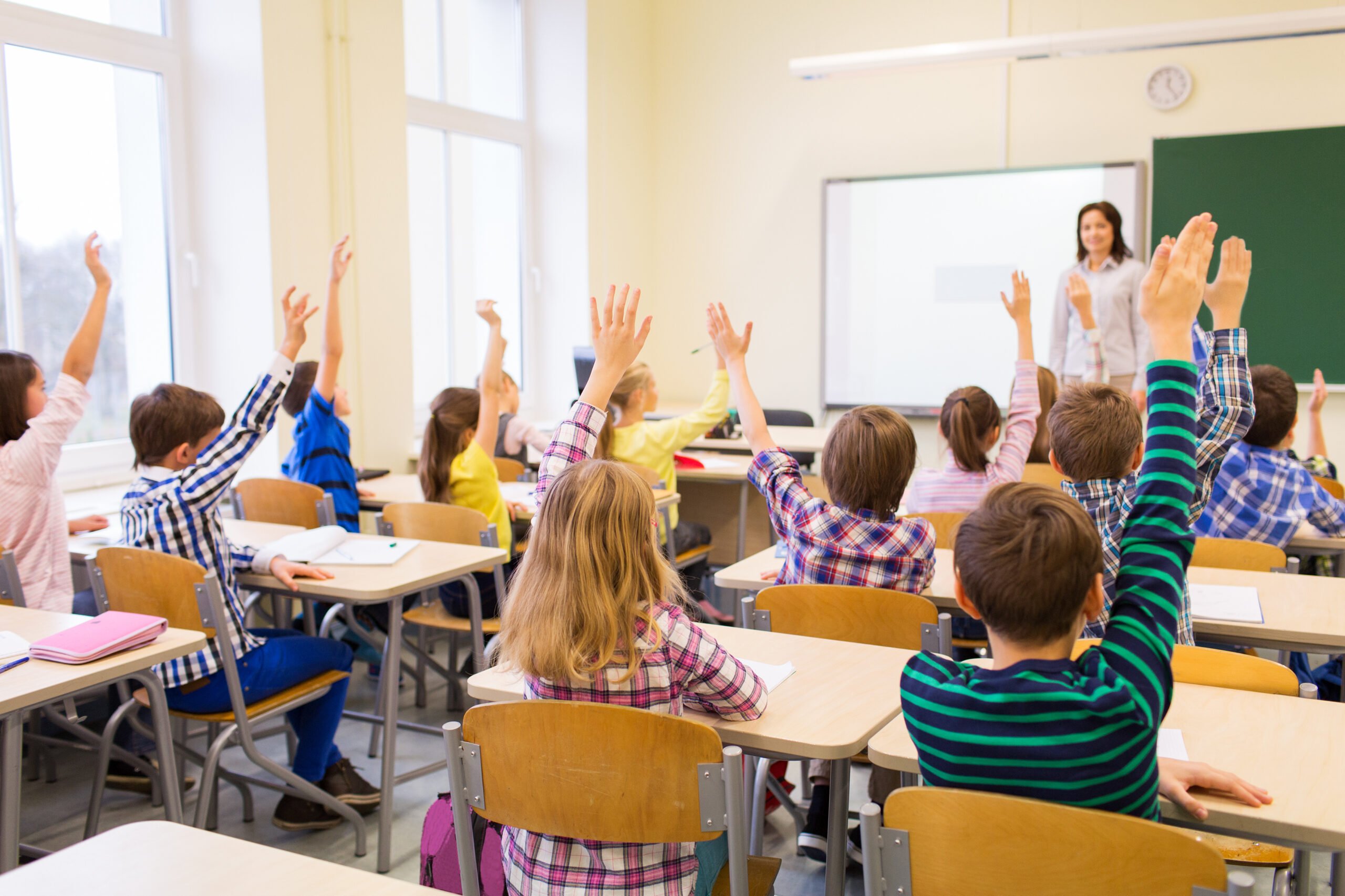 NovoCast brings collaboration to all schools and students 2 NovoCast brings collaboration to all schools and students 2 scaled