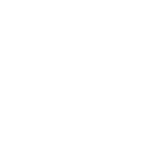ICON 4K SUPPORT WHITE 1