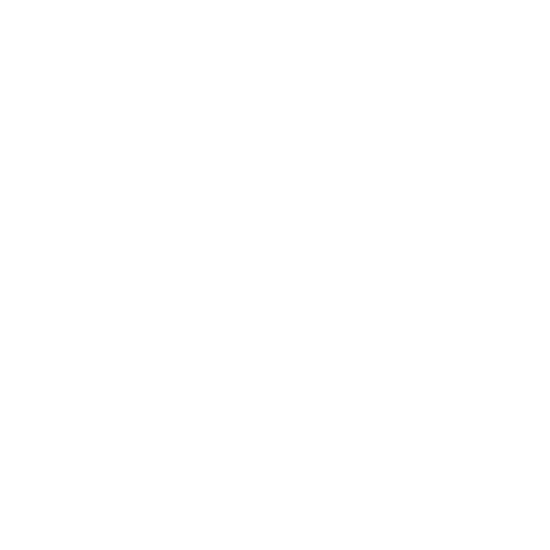 ICON DUST PROOF WHITE