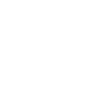ICON Fan Error Auto Protection