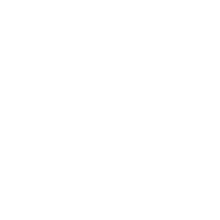 ICON Fan Error Auto Protection