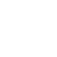 ICON Optional Motorized Lens Support