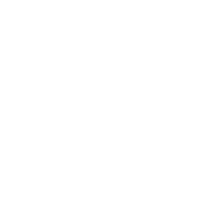 ICON Optional Motorized Lens Support