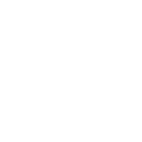 ICON Vertical Horizontal Keystone Correction