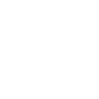 ICON Vertical Horizontal Keystone Correction