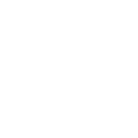 ICON Zoom Focus Lens Shift and Memory