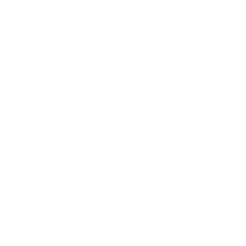 ICON Geometric Correction