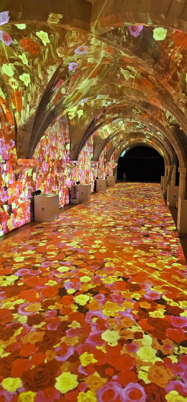 WhatsApp Image 2025 06 19 a 00.13.55 eee7f7b2