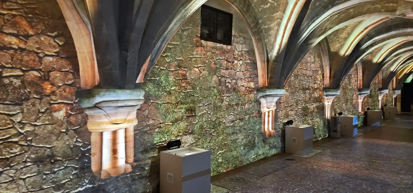 WhatsApp Image 2025 06 19 a 00.14.06 0f4730fd